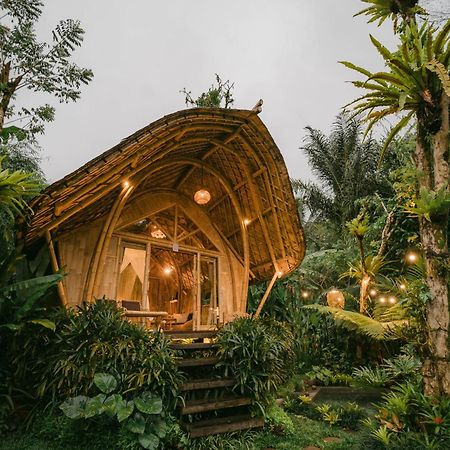 Willa Arcada Bali Bamboo House Sidemen  Zewnętrze zdjęcie
