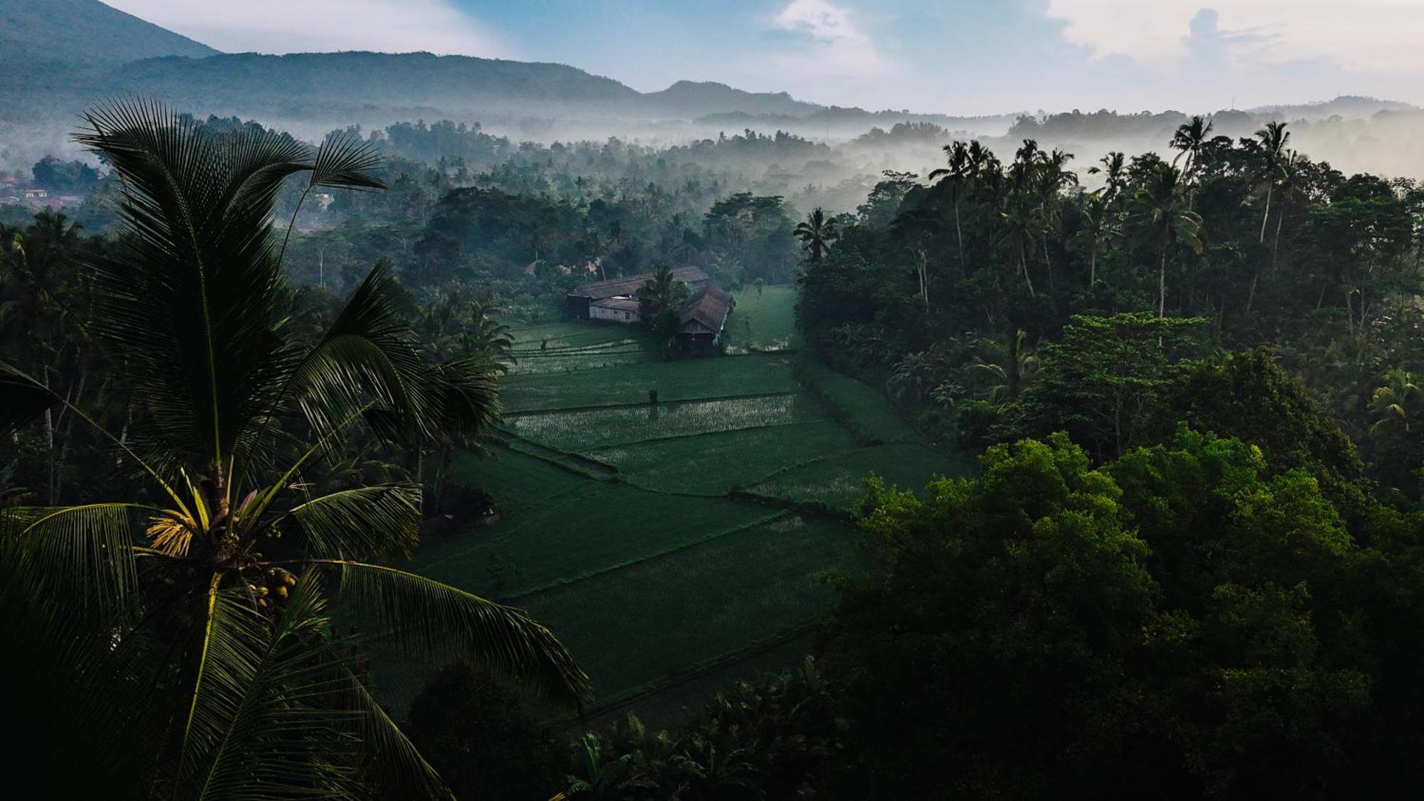 Willa Arcada Bali Bamboo House Sidemen  Zewnętrze zdjęcie