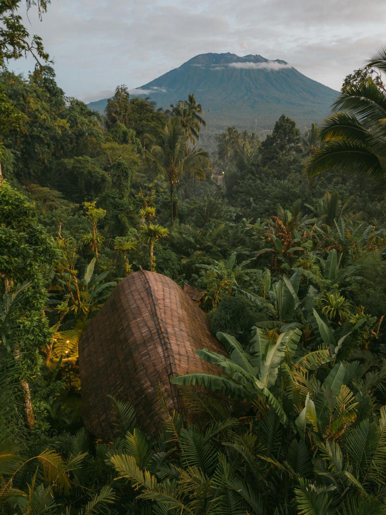 Willa Arcada Bali Bamboo House Sidemen  Zewnętrze zdjęcie